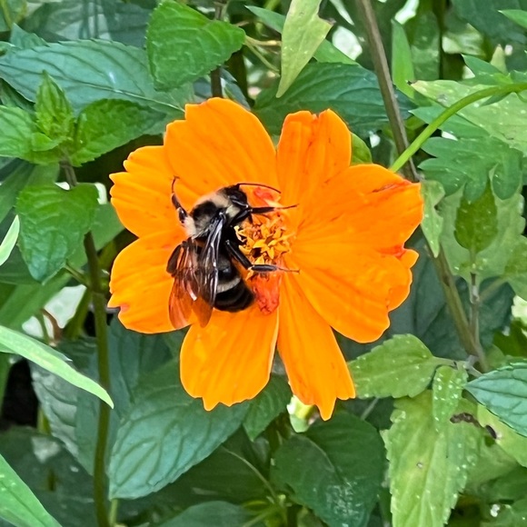 Meet your Poshers, Tracy and Taifa - Picture 9 of 14